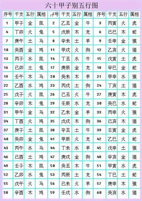 数字五行查询